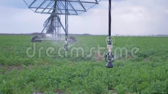 农业工业自动化灌溉系统用于田间灌溉植物视频的预览图