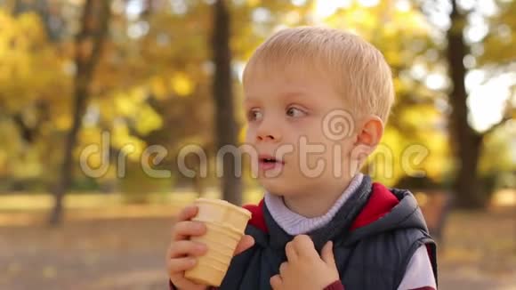金秋公园一个带冰淇淋的孩子的肖像视频的预览图