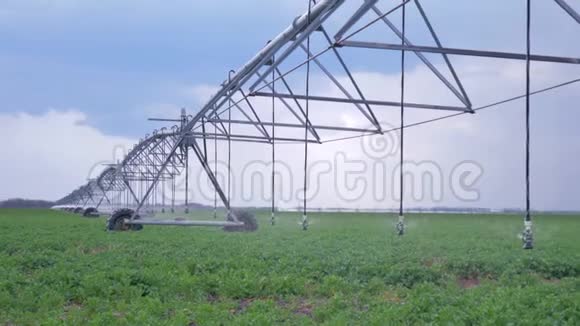 有灌溉系统的油菜田有耕地的农村视频的预览图