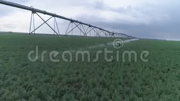 农业灌溉系统天空背景下的绿色油菜田视频的预览图