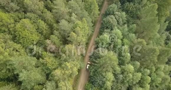 在森林和山脉的乡村道路上驾驶汽车的鸟瞰图视频的预览图