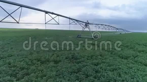 用喷灌机灌溉的油菜田大规模的工业农业视频的预览图