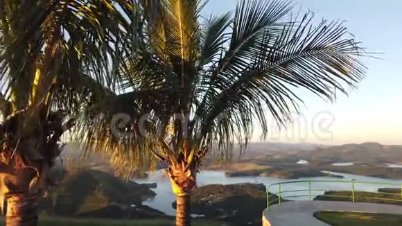 棕榈树越过一个山景视频的预览图