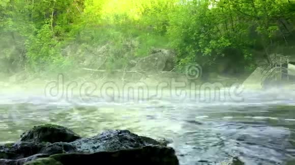 河水迅速流过岩石清晨晴朗的早晨视频的预览图