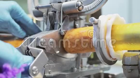 关闭Sausage生产线该员工在生产线上制作香肠用半成品填充切割和装订视频的预览图
