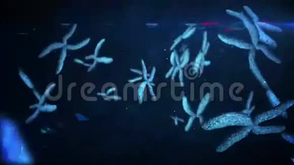 移动蓝色染色体的动画视频的预览图