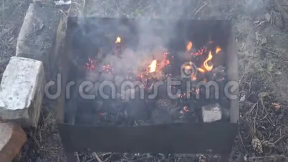 一个男人在户外准备烧烤他把多汁的肉烤在煤上露天野餐快关门这就是视频的预览图