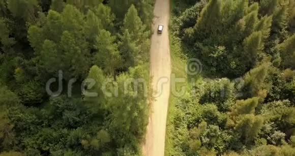 在森林和山脉的乡村道路上驾驶汽车的鸟瞰图视频的预览图