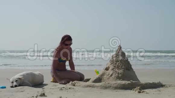一个穿着泳衣的漂亮女孩在一个荒无人烟的海滩上和一只白色的狗从一个夏天的收割者那里建造了一个沙堡4K视频的预览图