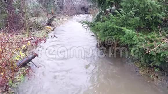 洪水穿过树林里的小溪视频的预览图