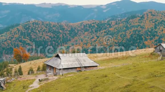秋天在风景如画的喀尔巴阡山的背景下为牧羊人建造了古老的木制废弃木屋被遗弃视频的预览图