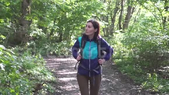 带着背包的女游客穿过树林环顾四周阳光慢悠悠视频的预览图