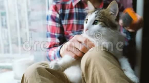 那个人正在梳理那只猫一个男人在家里盘坐在地板上梳着一只猫宠物视频的预览图
