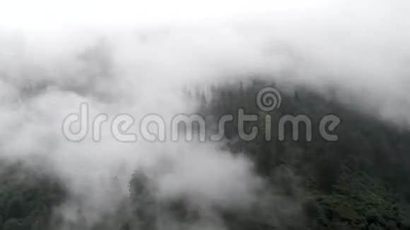 印第安森林上空的云层时间推移视频的预览图
