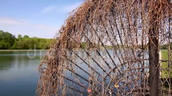 Kuskovo公园树篱附近的美丽湖景视频的预览图