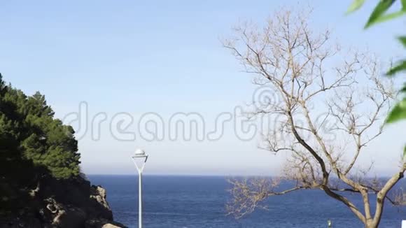 美丽的蓝天和无尽的蓝海树木和灌木丛艺术明亮的海景有一盏孤独的路灯一棵树和视频的预览图