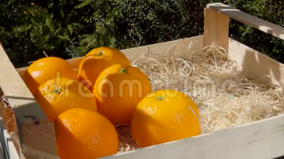 手把成熟多汁的橘子放在木箱里视频的预览图