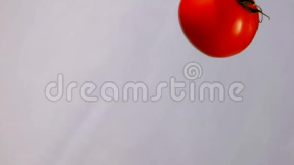 西红柿是在白色背景下飞下来的视频的预览图