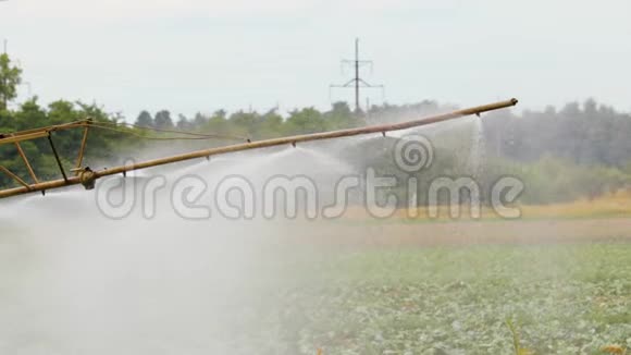 自行式喷雾器在农田中处理卷心菜视频的预览图