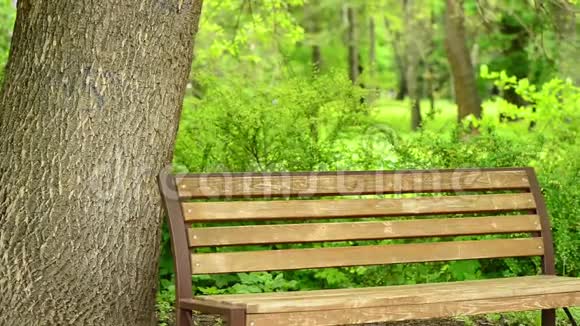 绿色公园土地上的木制长凳视频的预览图