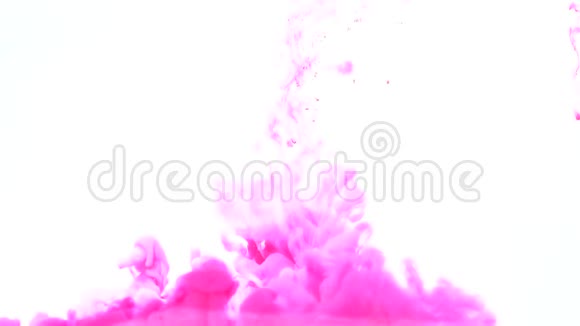 墨水泼水洋红粉红油漆白色视频的预览图