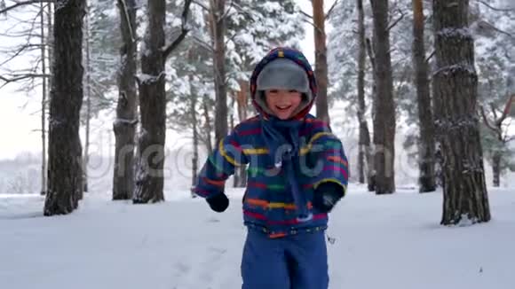冬天一个小快乐的孩子跑过去在白雪覆盖的树上迎接摄像机家庭户外的概念视频的预览图