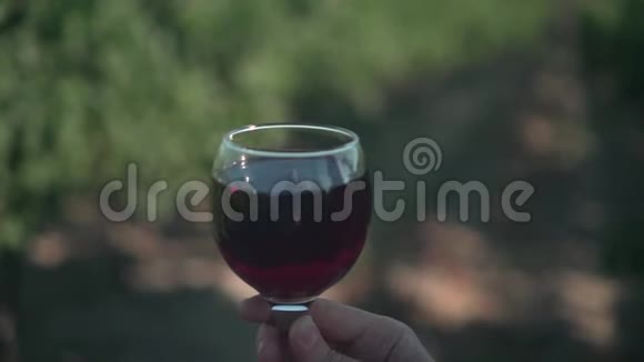 日落时分一个女人拿着一杯红酒背景是葡萄园和山脉视频的预览图
