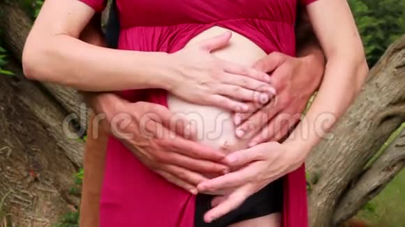 未来父母的手拥抱抚摸和拥抱怀孕的肚子孕妇与丈夫拥抱在等孩子视频的预览图