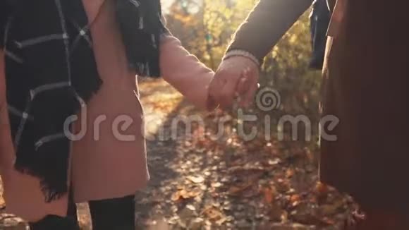 秋天森林中男女携手漫步的浪漫近景视频的预览图