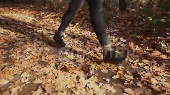 少女白天独自在秋天的森林里散步双脚特写视频的预览图