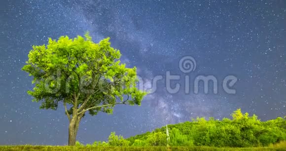 梅花树银河夜空落星视频的预览图