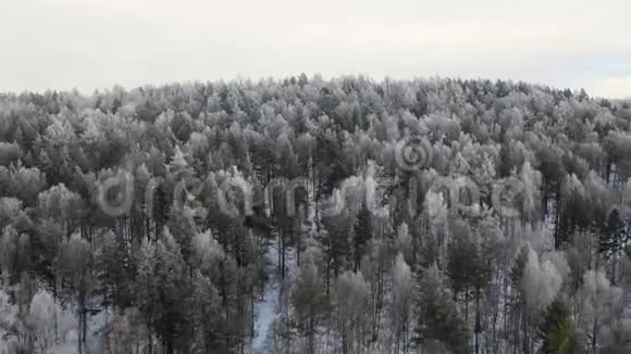 挪威森林冬季电影无人机拍摄的平稳飞行头部飞行摄像机视频的预览图