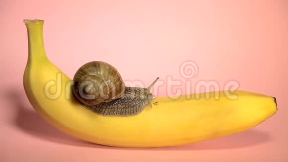 粉红色背景上的黄色香蕉视频的预览图