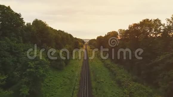 空中景色向下移动保持在焦点的Railtrack和显示神奇的农村地区在绿色森林背景视频的预览图