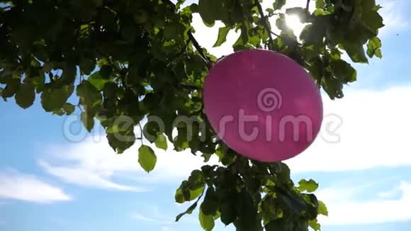 节日装饰儿童假期气球乡村房子德罗沃苹果树用气球装饰视频的预览图