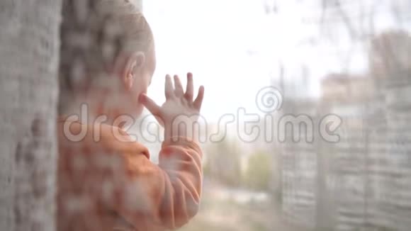 一个金发小男孩站在窗台上望着窗外视频的预览图