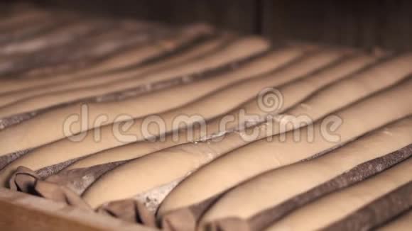 面包生产工厂的一排排未煮熟的面团到下一阶段的烘焙视频的预览图