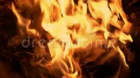 书页在火中卷曲视频的预览图
