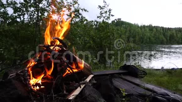 河边篝火烧香肠视频的预览图