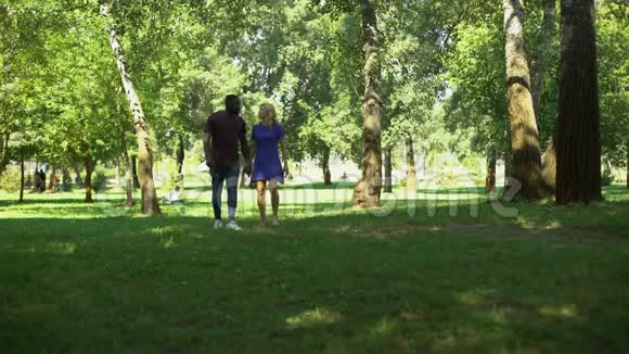 公园里的惊喜订婚跪着的男人用戒指求婚幸福的一对视频的预览图