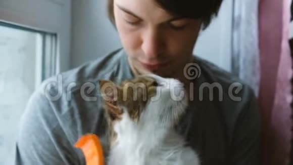 男人抓着白色的猫梳猫吻主人慢动作视频的预览图