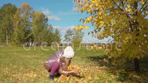 微笑的少年女孩抱着秋叶在秋林中呕吐视频的预览图