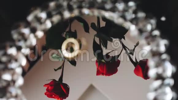 三朵美丽的红玫瑰映在镜面上很漂亮的构图视频的预览图