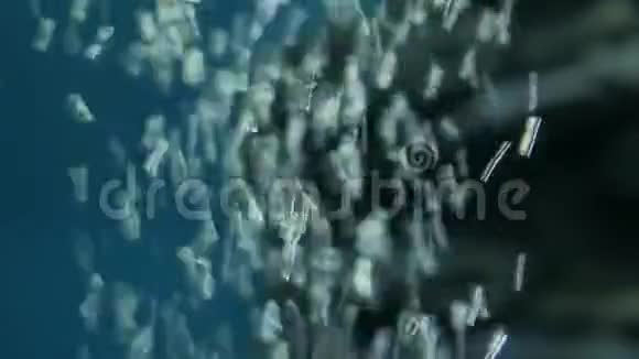 漂亮的鱼缸装饰和鱼缸中的氧气机在水中气泡视频的预览图