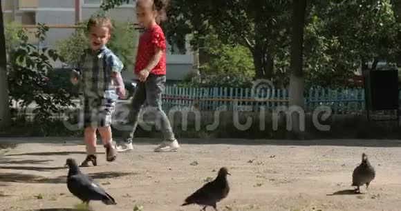 快乐的孩子追着鸟跑鸽子在后台飞着向他跑来一个小男孩幸福的概念视频的预览图