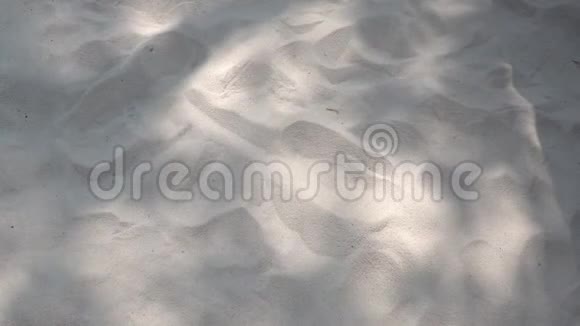 在沙滩上飘动的树叶阴影视频的预览图