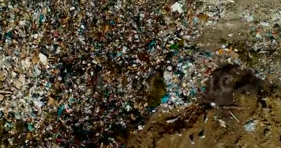 一个巨大的垃圾场人们把垃圾分类海鸥飞过垃圾顶部的一片废墟视频的预览图