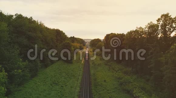 货运列车以铁路穿越密林的两侧缠绕铁路运输电力机车4K视频的预览图