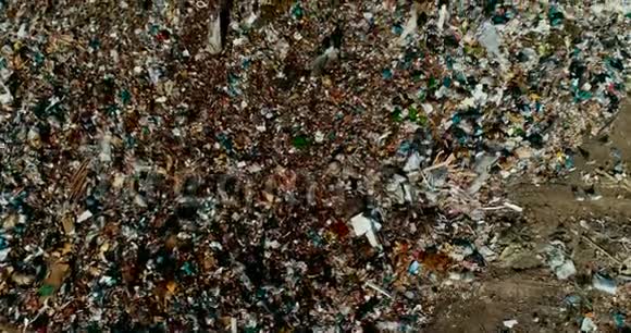 一个巨大的垃圾场人们整理垃圾填埋场里的垃圾海鸥飞过垃圾顶部的废墟视频的预览图