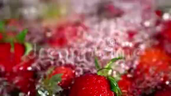 草莓果灌注水关闭作物水平运动视频的预览图